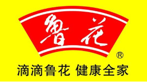 菲爾特潤(rùn)滑油合作客戶(hù)-魯花