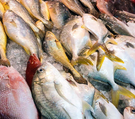 速凍食品潤滑油解決方案